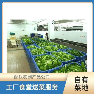 東莞蔬菜配送服務 保障新鮮農副產品直達餐桌